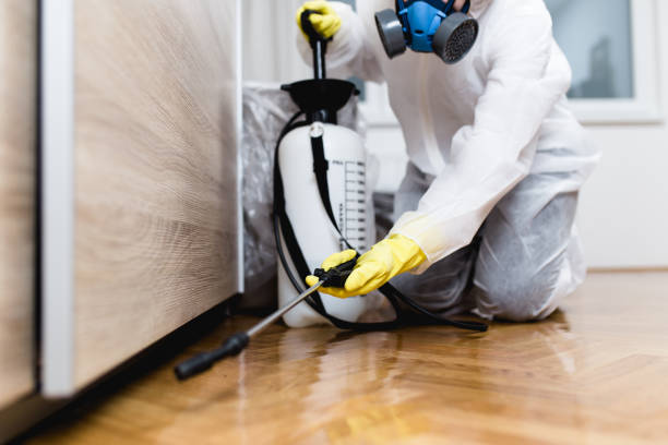 Pest Control Cost in Nederland, TX