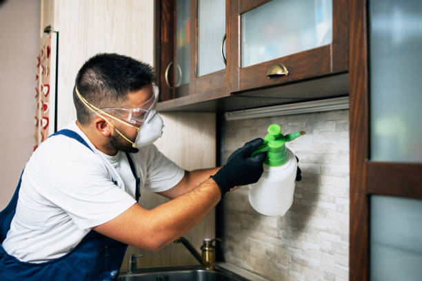 Best Best Pest Control Companies  in Nederland, TX