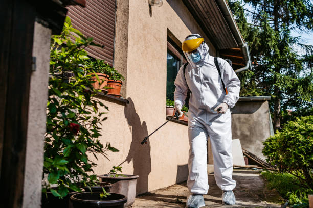 Best Commercial Pest Control Services  in Nederland, TX