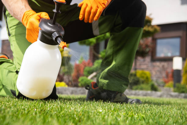 Best Wildlife Control Services  in Nederland, TX