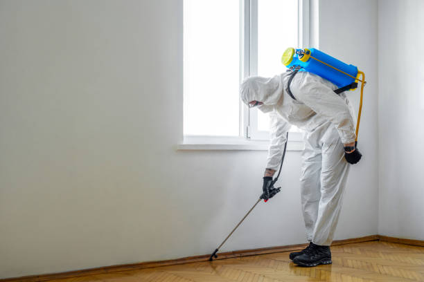 Best Pest Prevention Services  in Nederland, TX