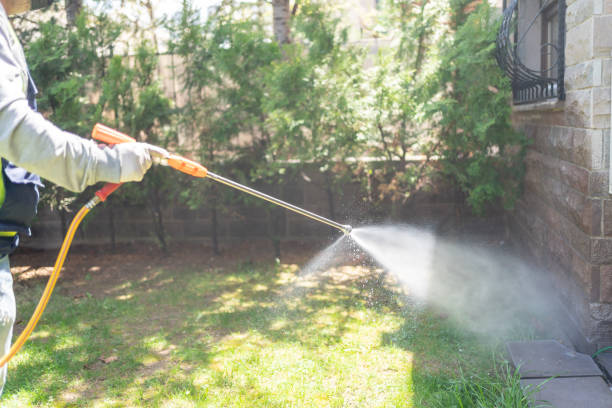 Reliable Nederland, TX Pest Control Solutions